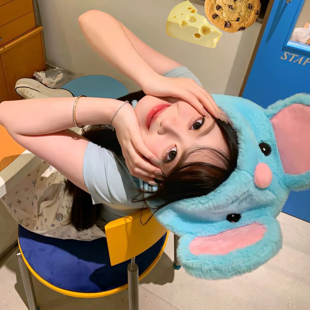 蜜月花车